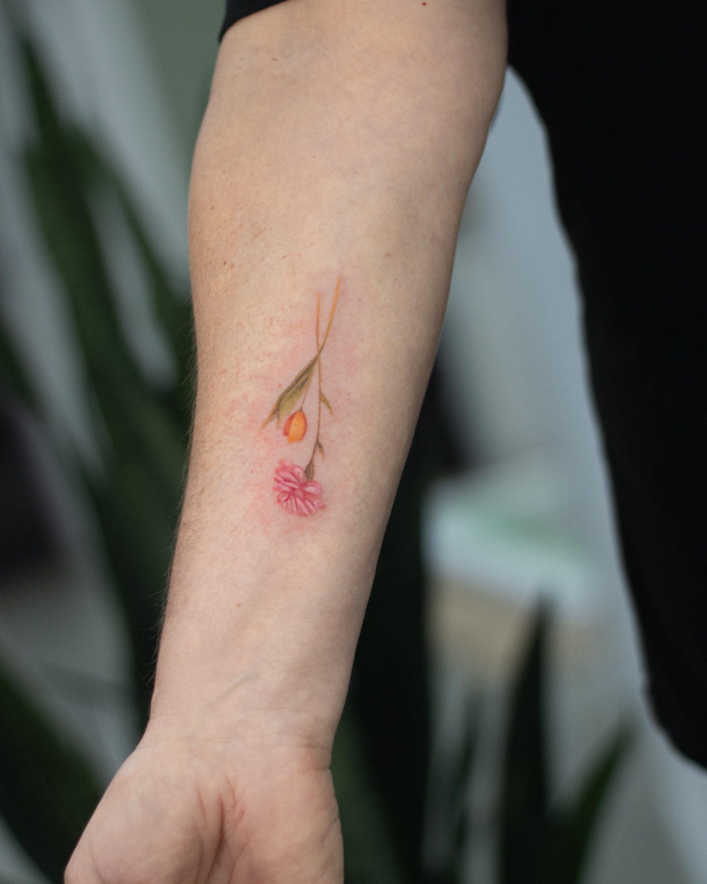 Tattoo by @viento_tattoos โ watercolor