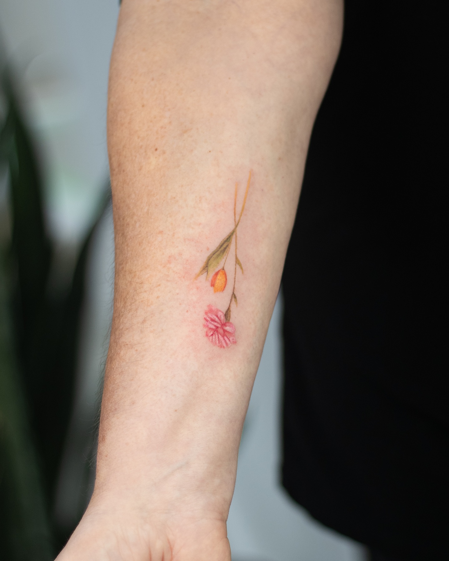 Tattoo by @viento_tattoos โ watercolor