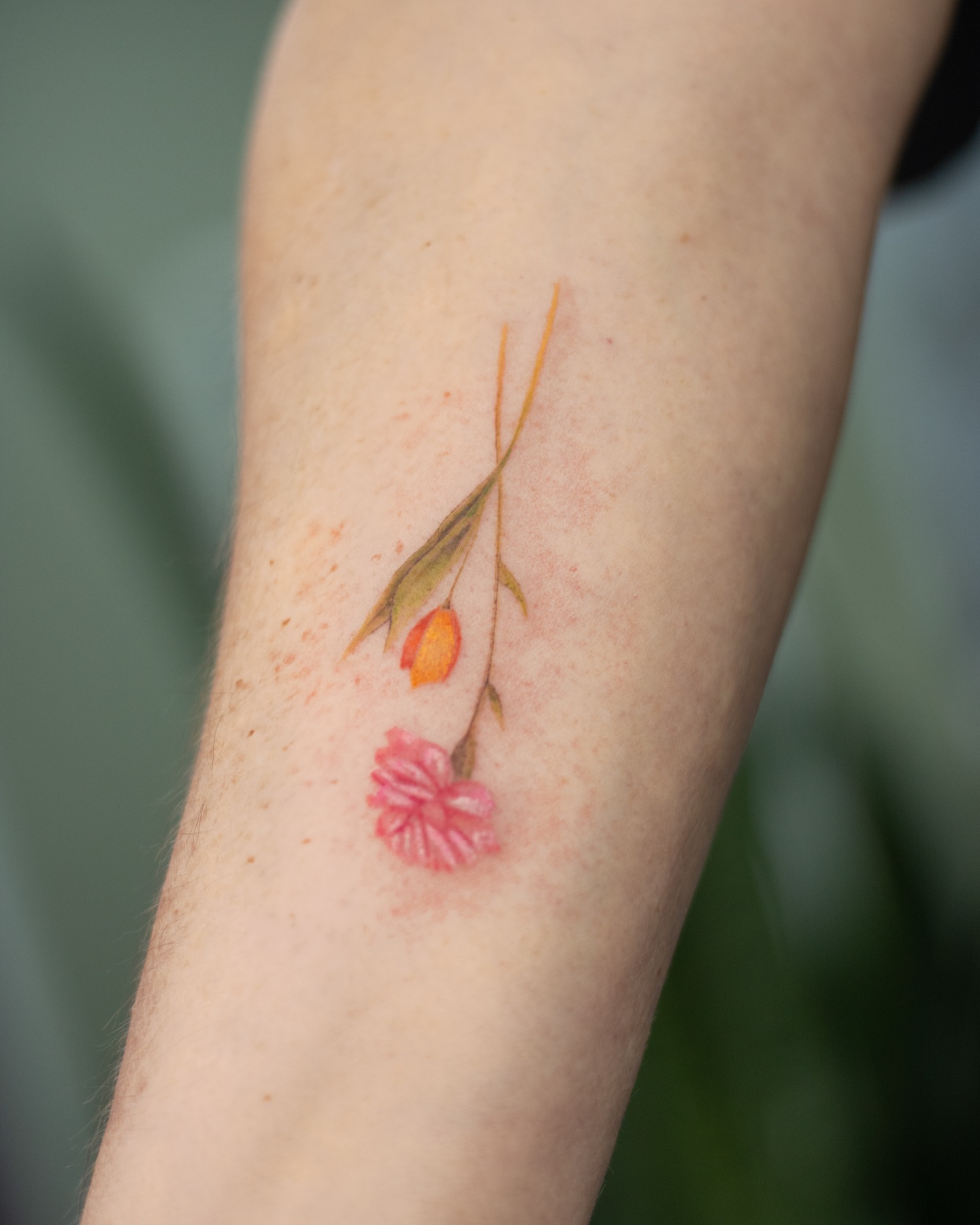 Tattoo by @viento_tattoos โ watercolor