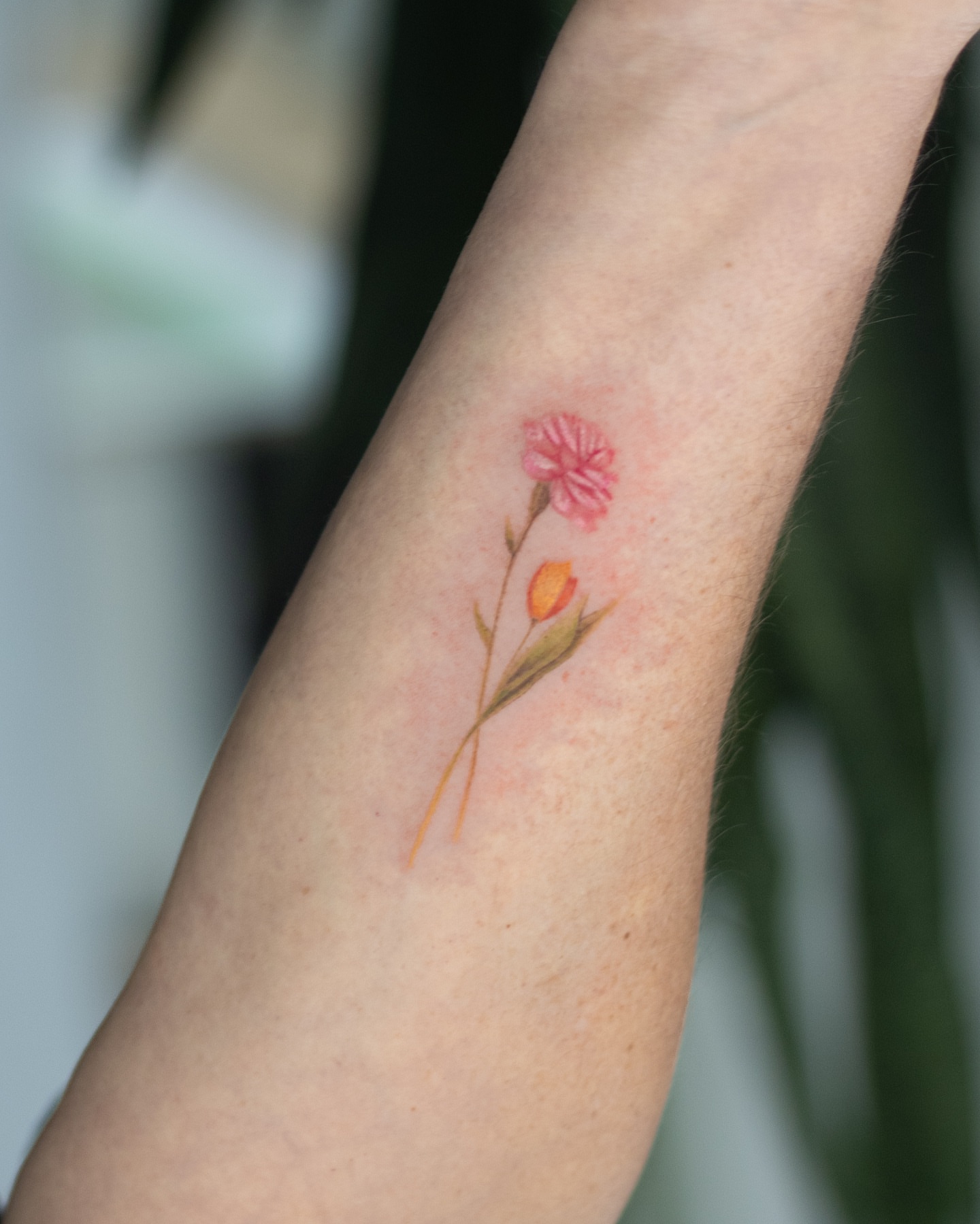 Tattoo by @viento_tattoos โ watercolor