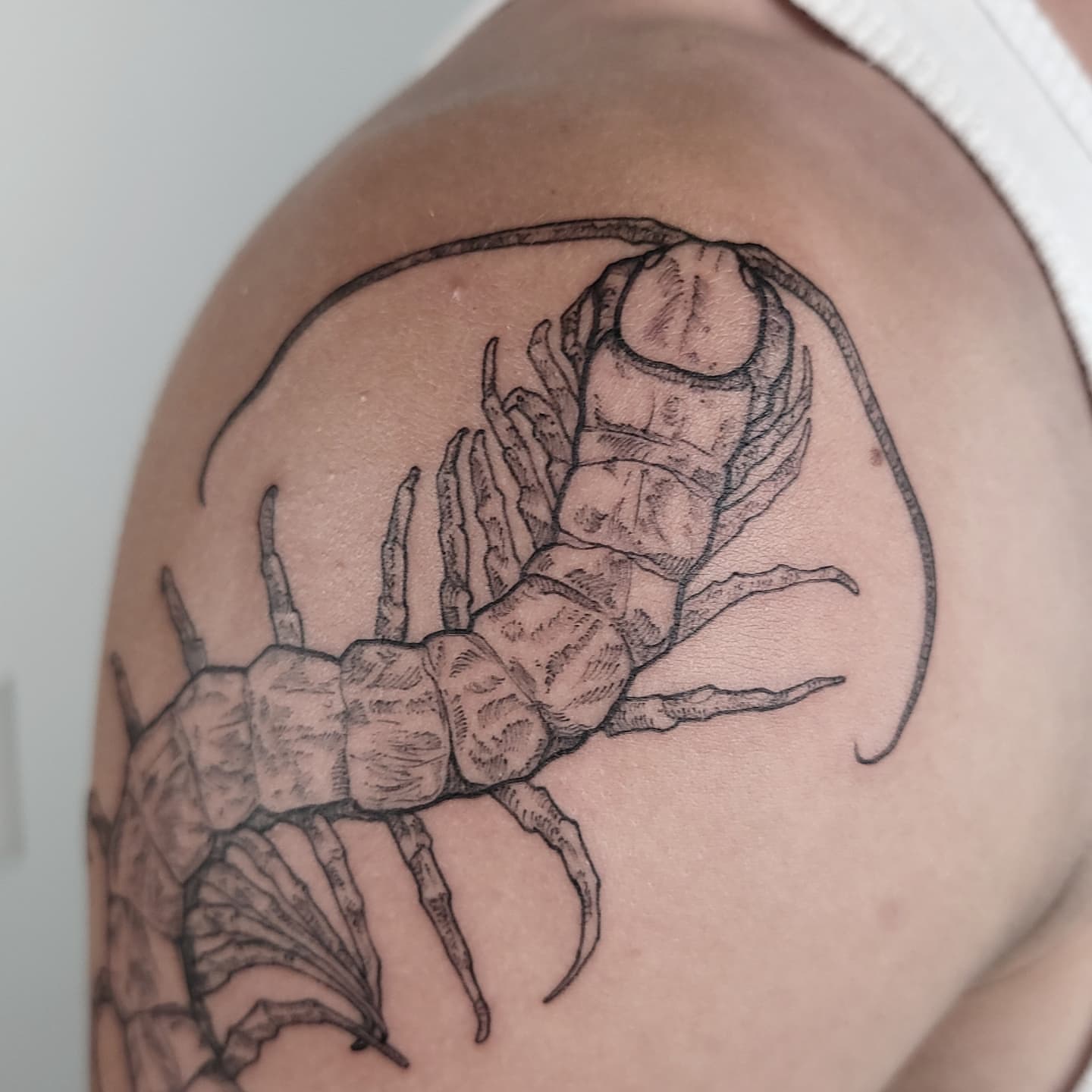 Lobster black and grey tattoo on the shoulder by Ghost