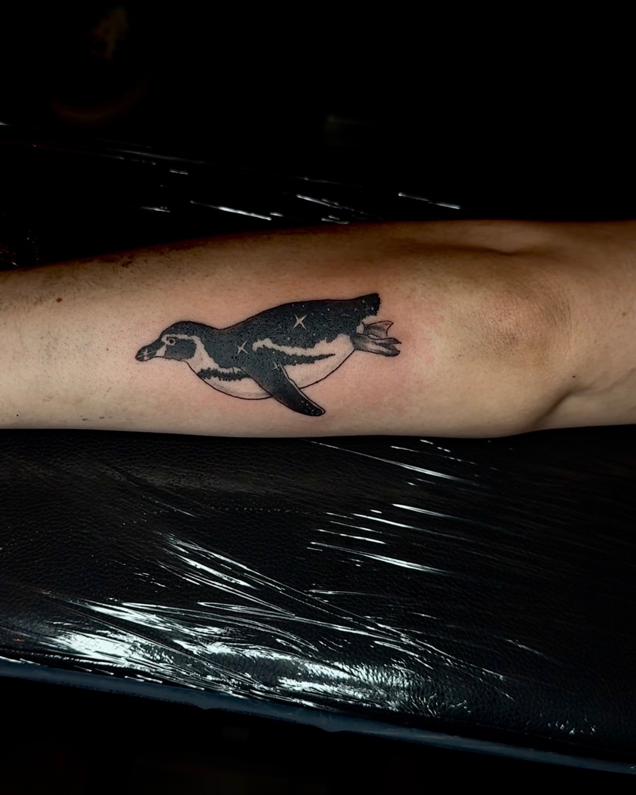 Penguin black and grey tattoo on the forearm by Honey