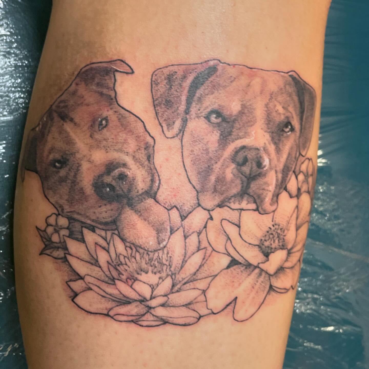 Pit bulls and flowers realism tattoo on the thigh by Evan