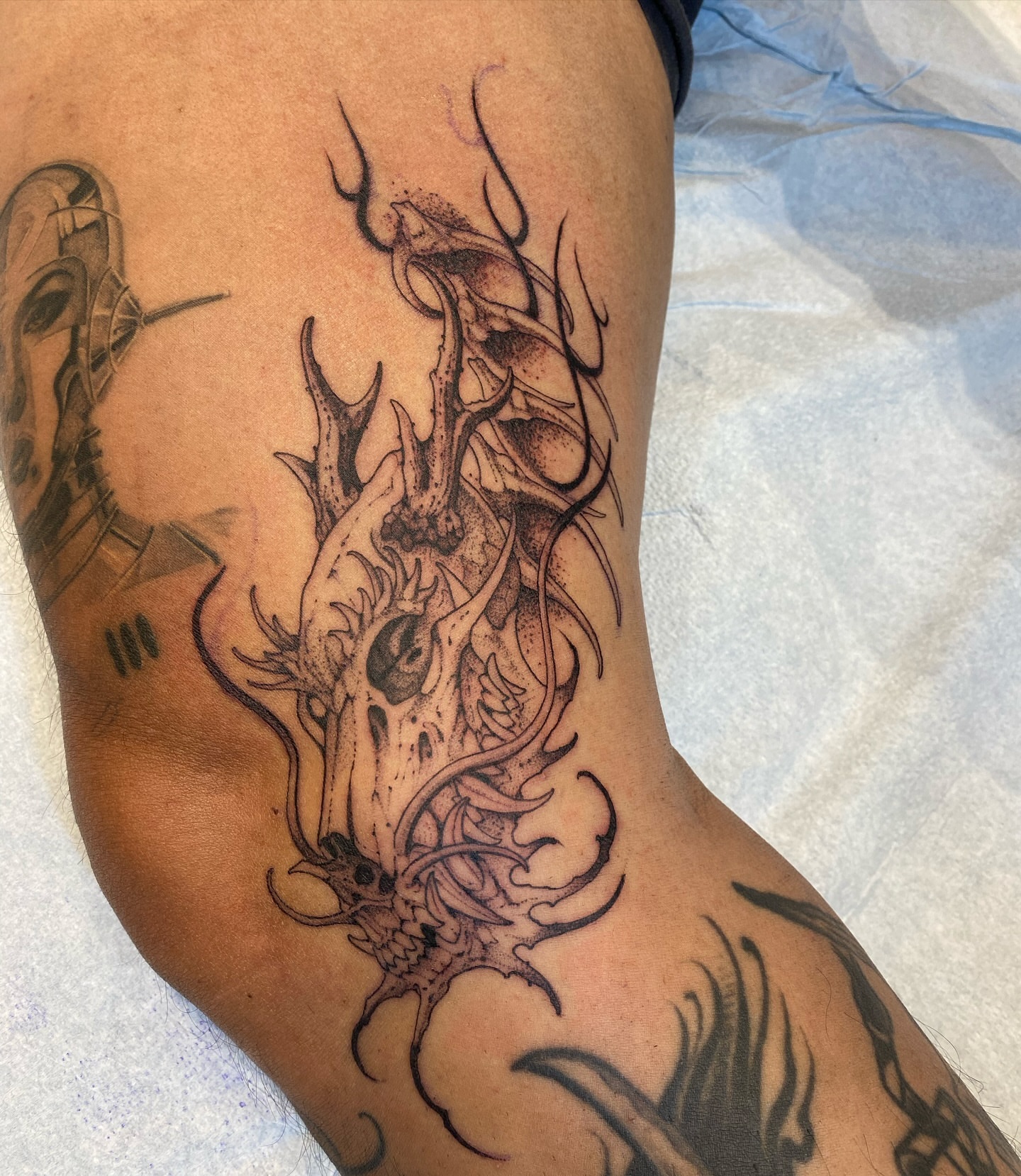 Deer skull dotwork tattoo on the forearm by Becci Chelicerata