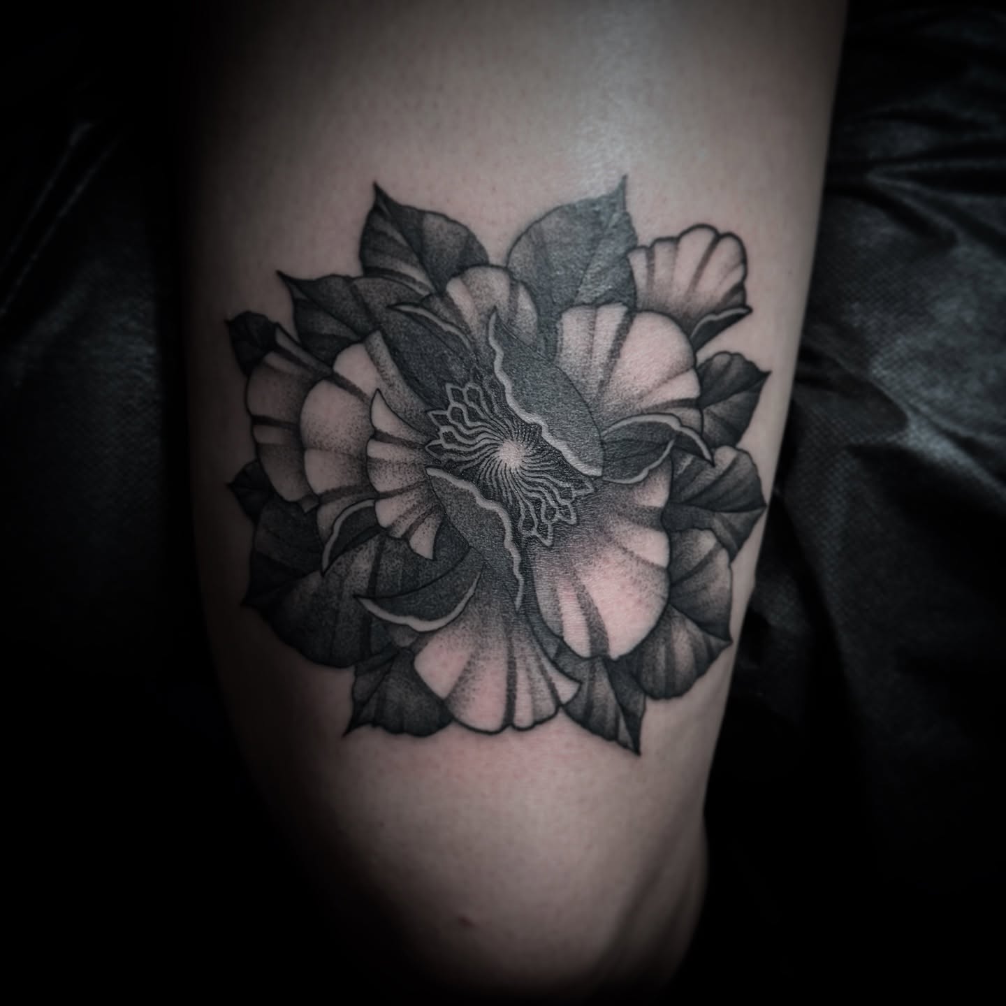 Tattoo by @jymicalkins — dotwork, black_and_grey