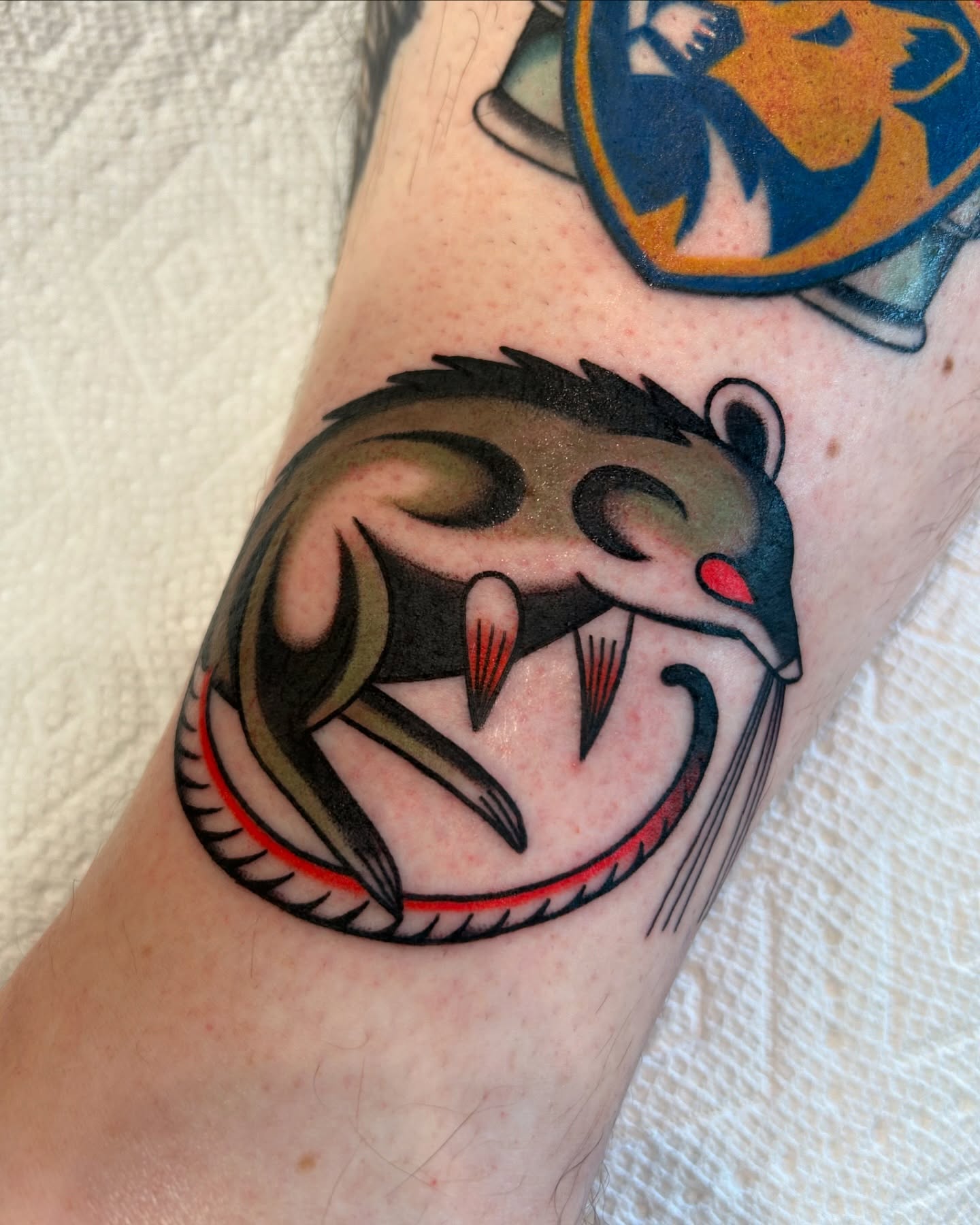 Rat American traditional tattoo on the forearm by Lilly Binns