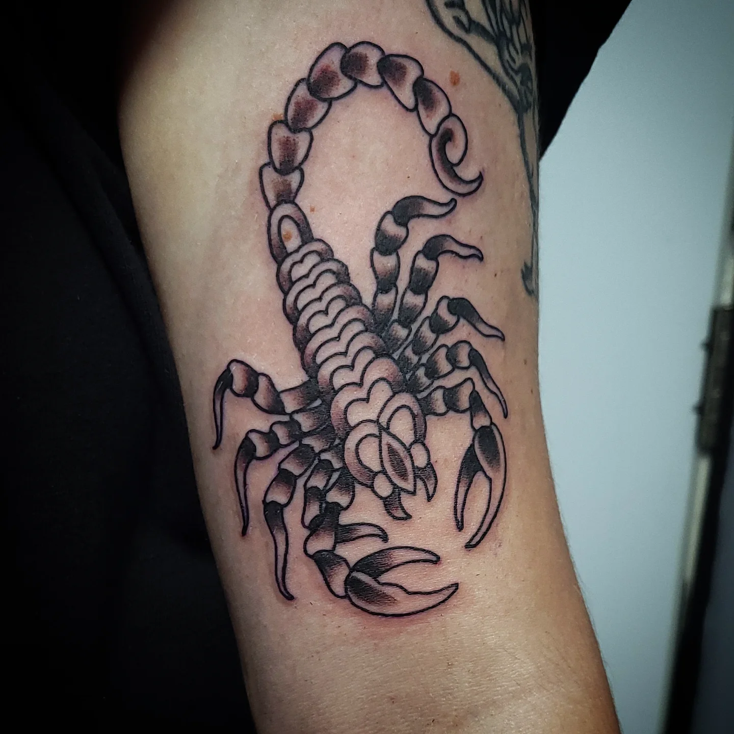 Scorpion black and grey tattoo on the forearm by Sean Hollinger