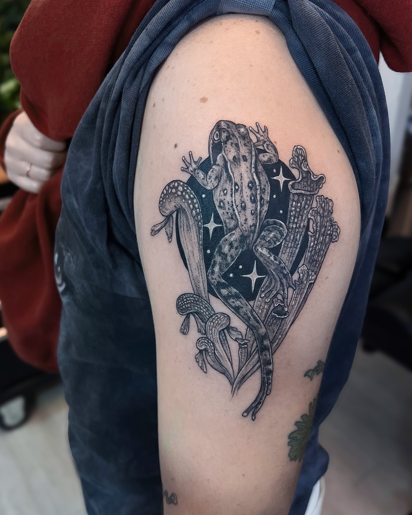 Frog black and grey tattoo on the shoulder by 𝗝𝗲𝘀𝘀𝗶𝗲 𝗩𝗶𝗼𝗹𝗲𝘁