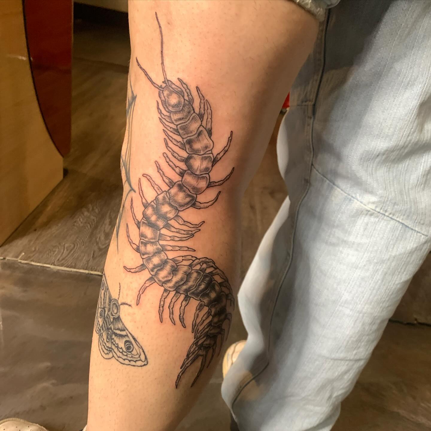 Centipede realism tattoo on the forearm by Ava Glory Tattoos