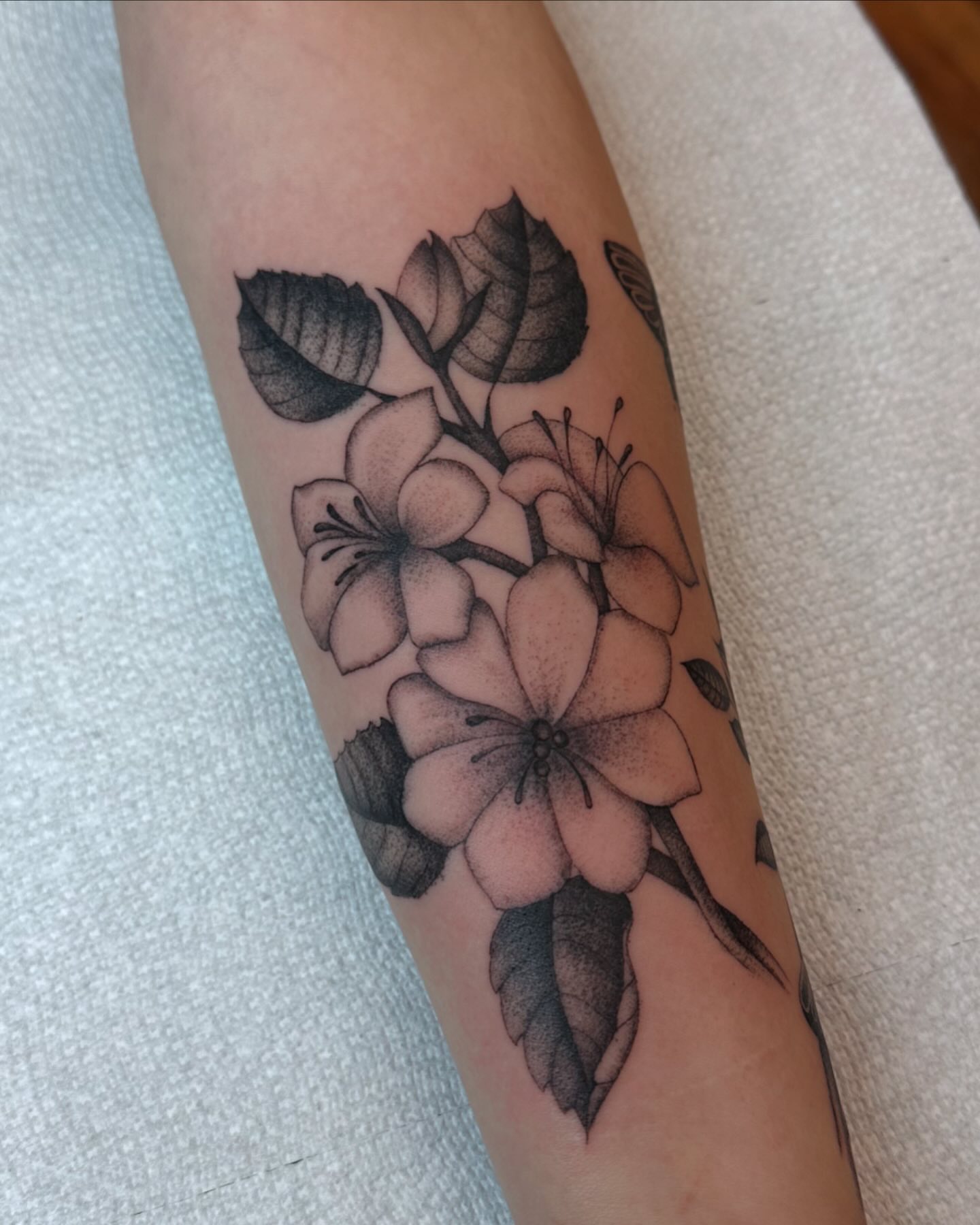 Flowers dotwork tattoo on the forearm by 𝖍𝖆𝖓𝖓𝖆𝖍