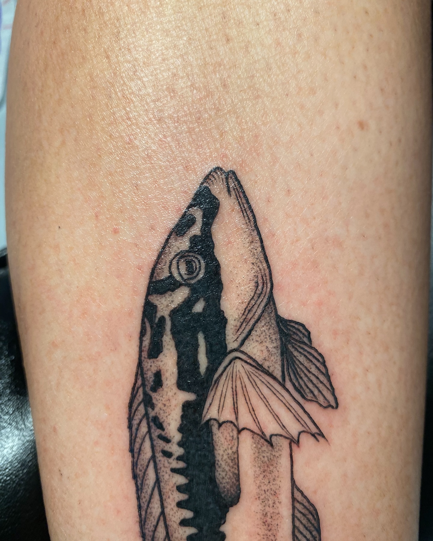 Tattoo by @rippintattoos — black_and_grey