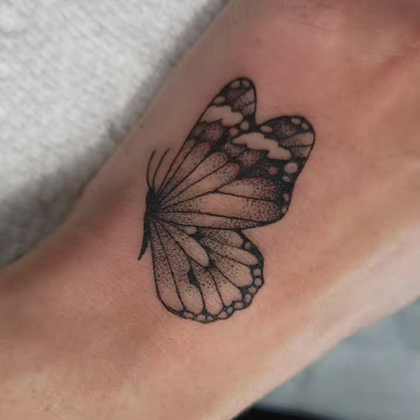 Butterfly black and grey tattoo on the forearm by Austin Berry