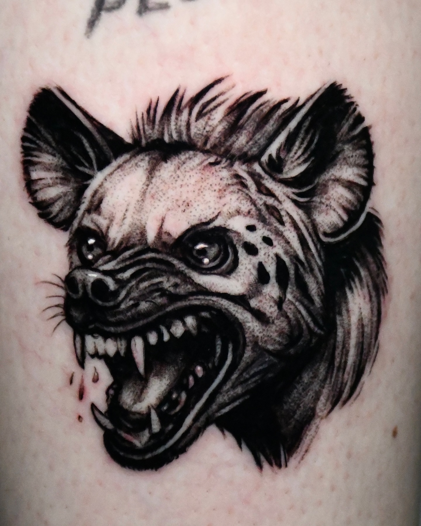 Tattoo by @jf.artistic — black_and_grey, realism