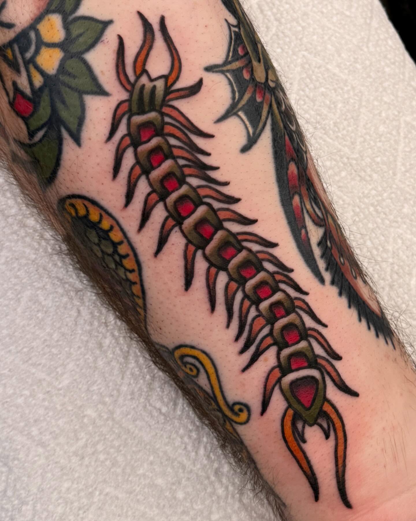 Tattoo by @megnefcytattoo — american_traditional