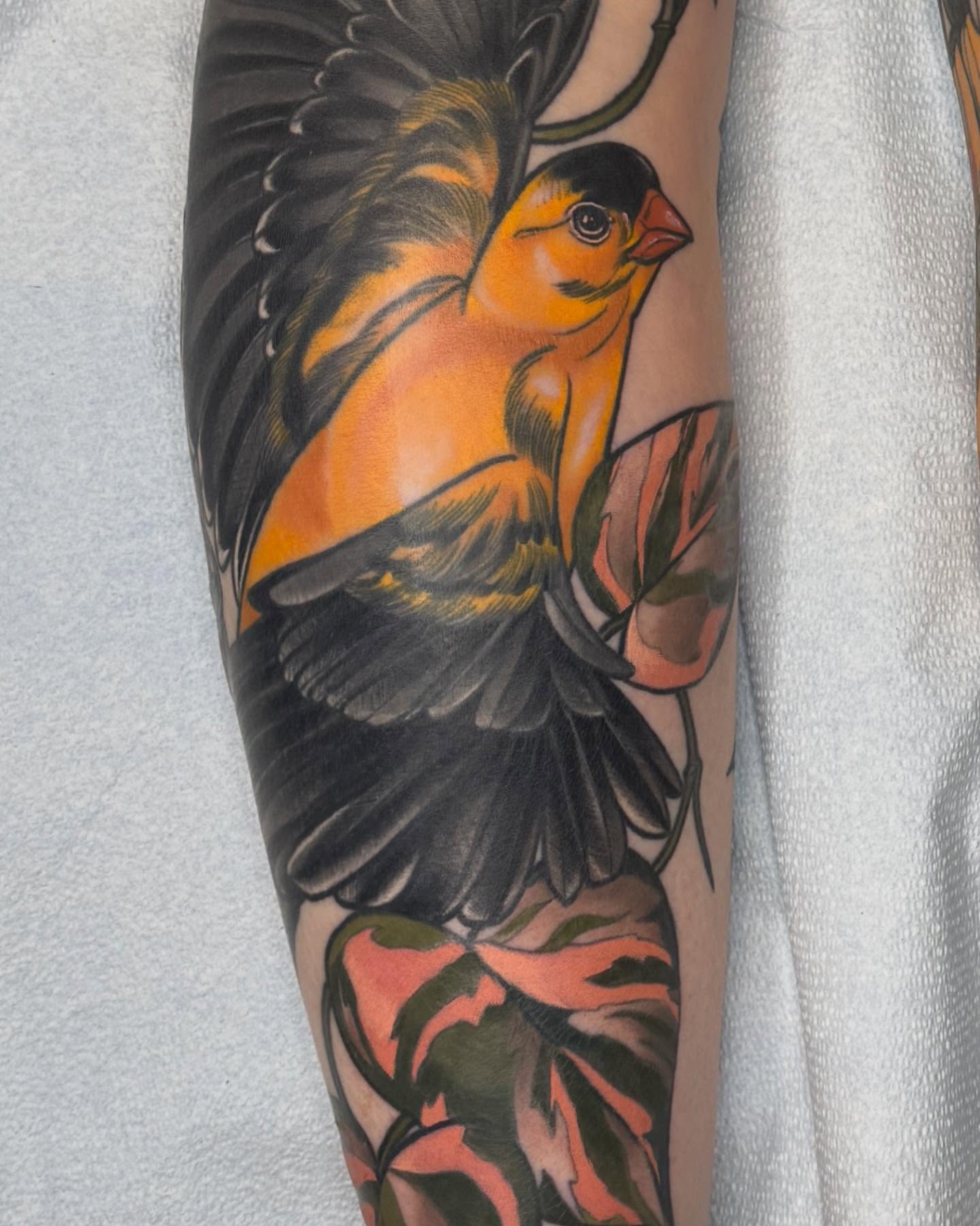Bird realism tattoo on the forearm by Rachael Shelly