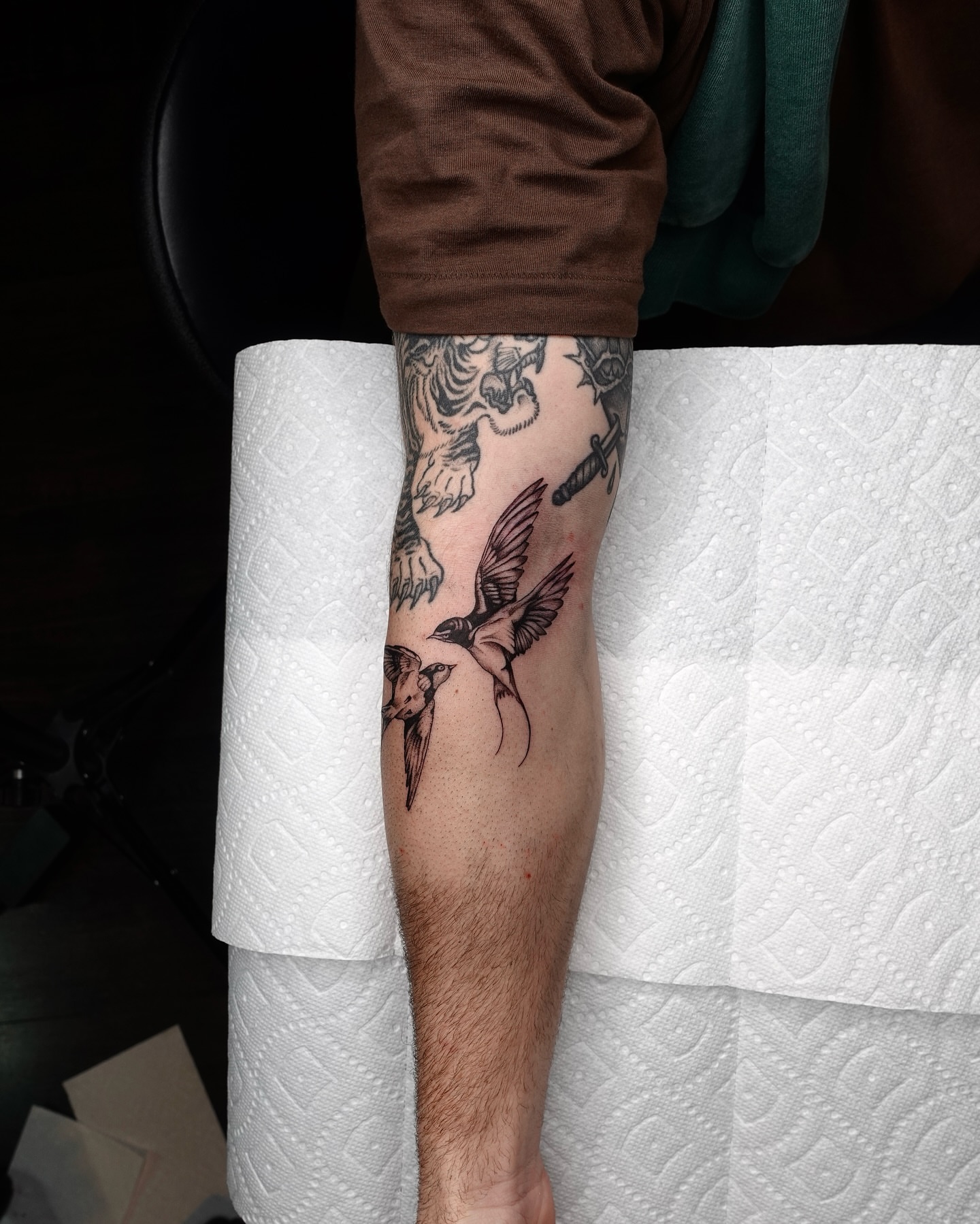 Bird and dagger black and grey tattoo on the forearm by Tat by Brendan