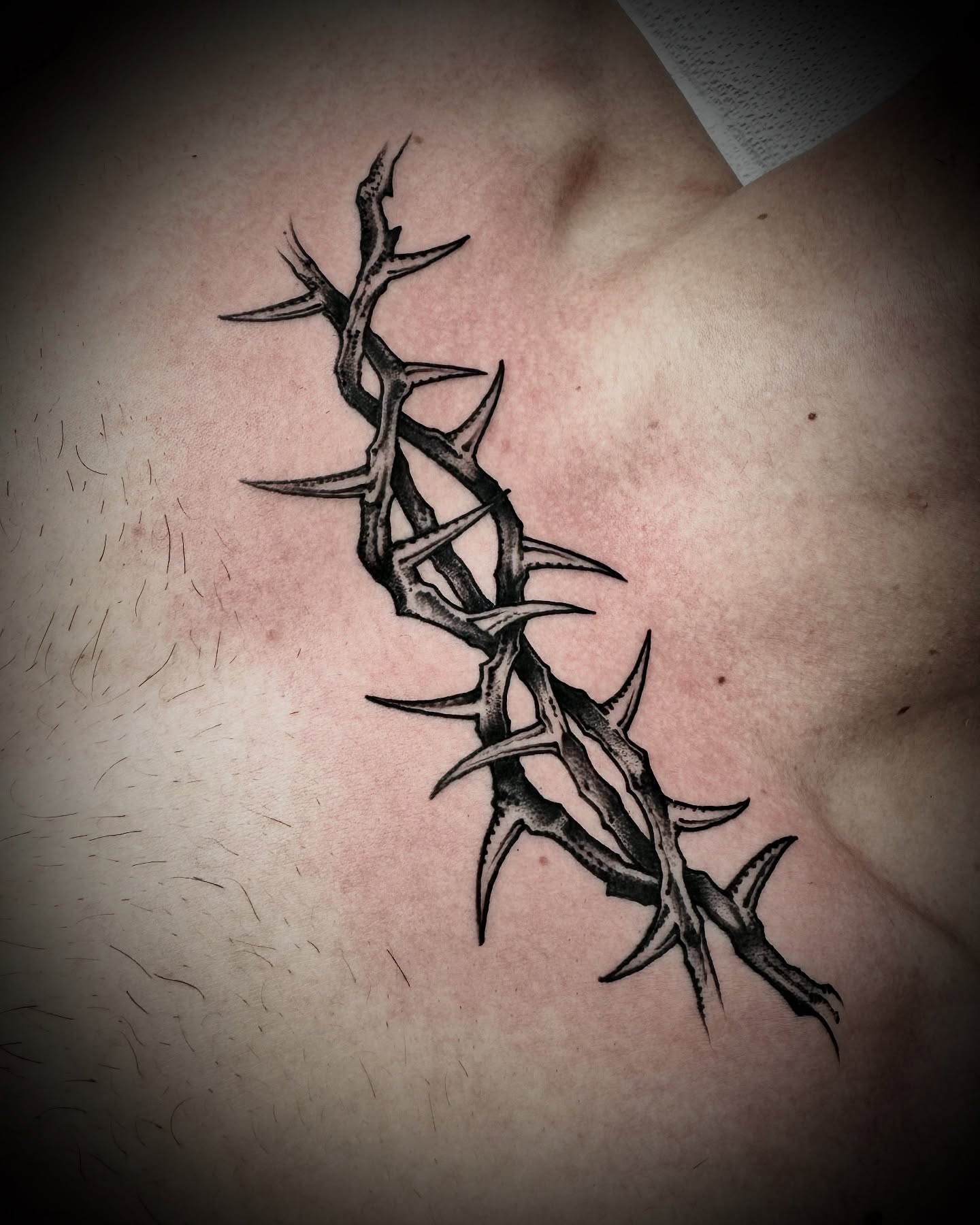 Thorns black and grey tattoo on the back by Kristen