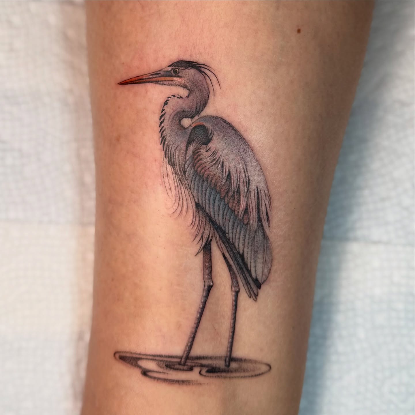 Tattoo by @turnipgirl_tattoo — realism
