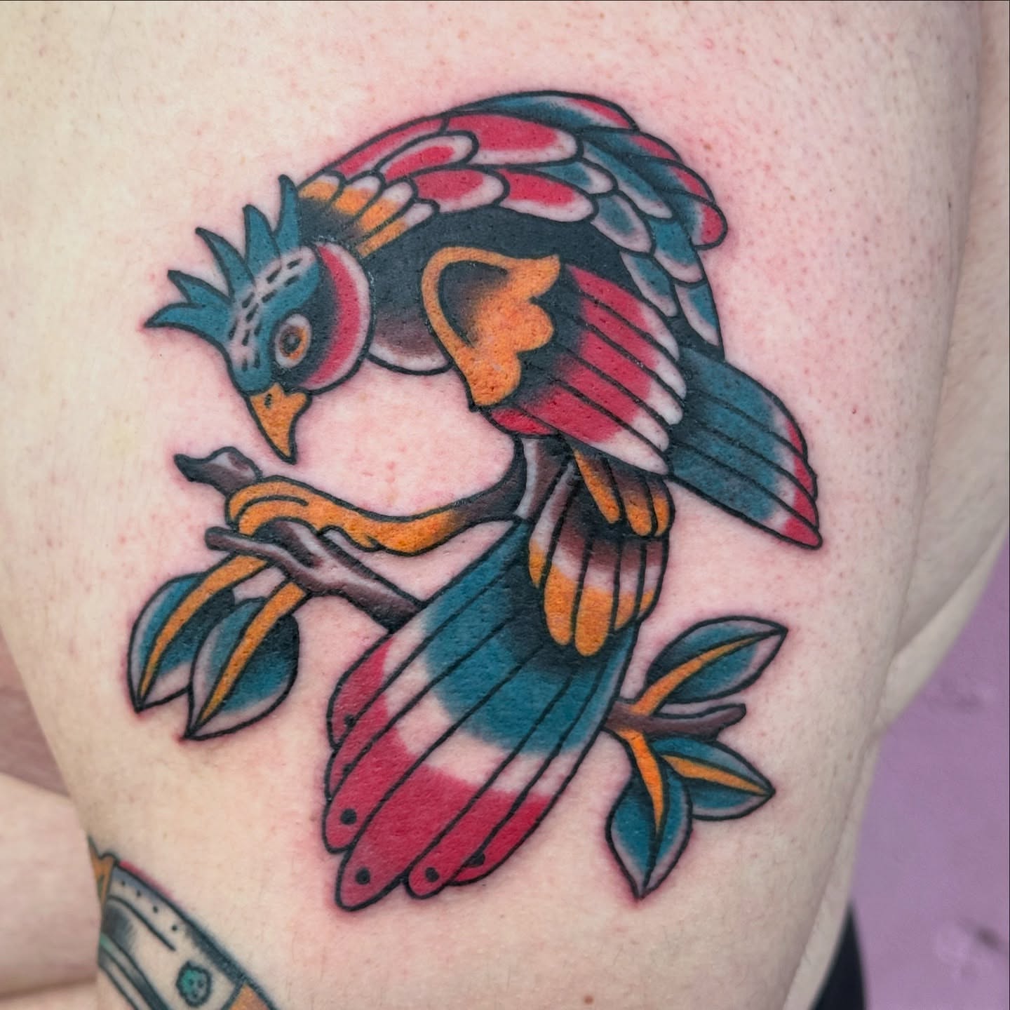 Bird American traditional tattoo on the shoulder by Dave Shurman