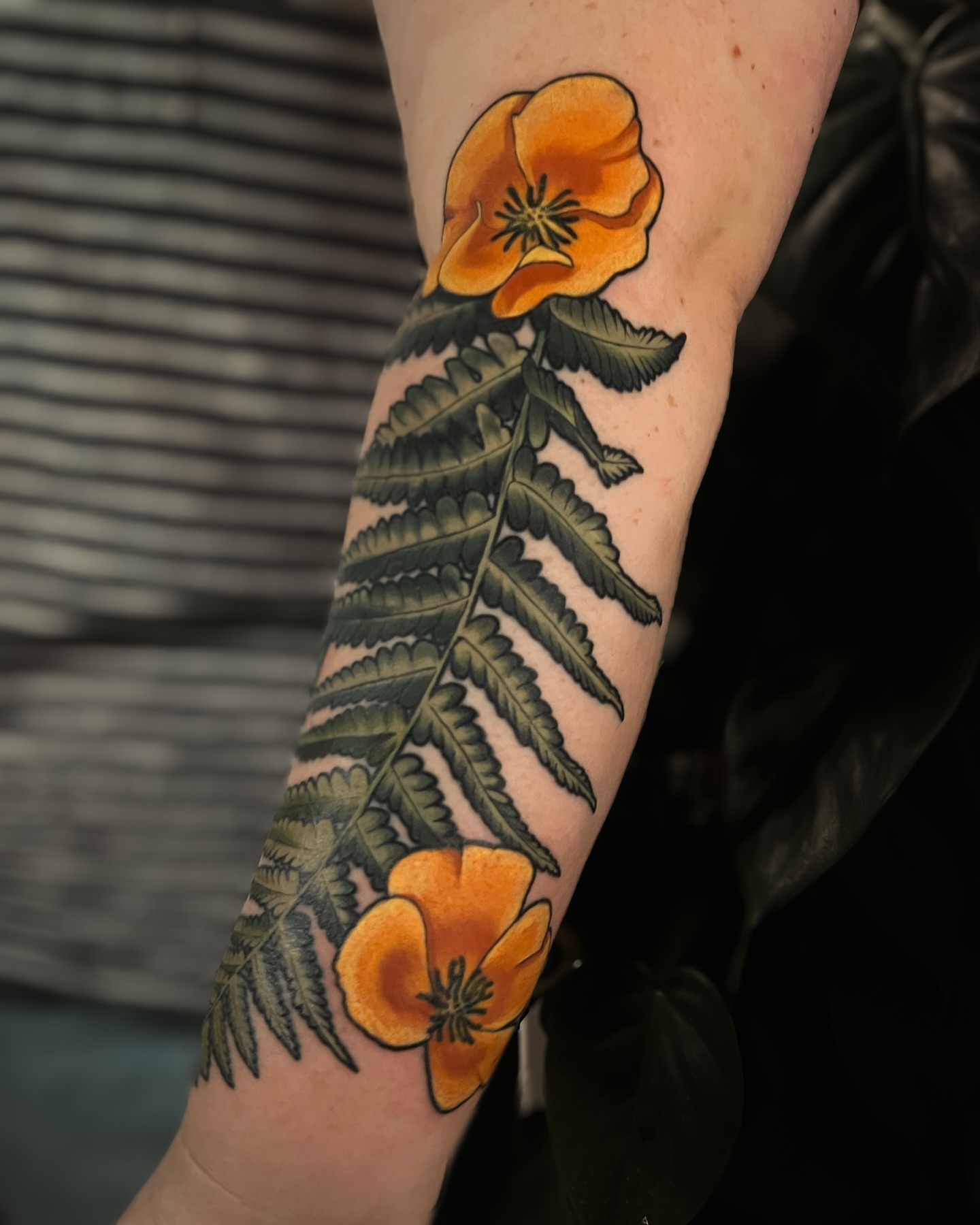 California poppy and fern realism tattoo on the forearm by 𝖃𝖆𝖓𝖉𝖗𝖎𝖆 ✦ ᴏʀᴇɢᴏɴ ᴛᴀᴛᴛᴏᴏ ᴀʀᴛɪꜱᴛ