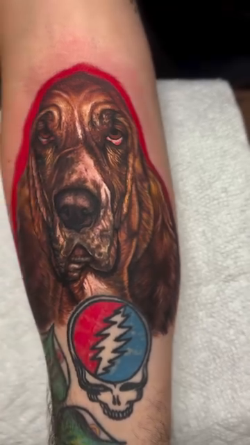 Basset Hound and Grateful Dead skull realism tattoo by 🦇𝖀𝖙𝖆𝖍🦇, Las Vegas, Nevada