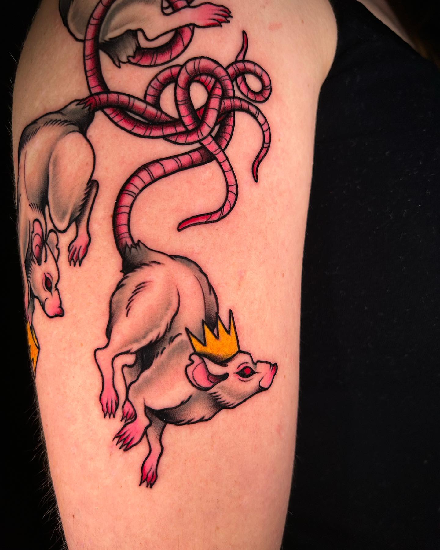 Rat with crown American traditional tattoo on the forearm by Lexi Kniskern