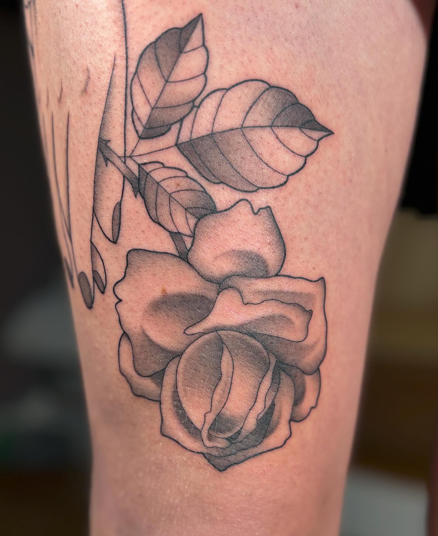 Rose black and grey tattoo on the forearm by Anna Sage
