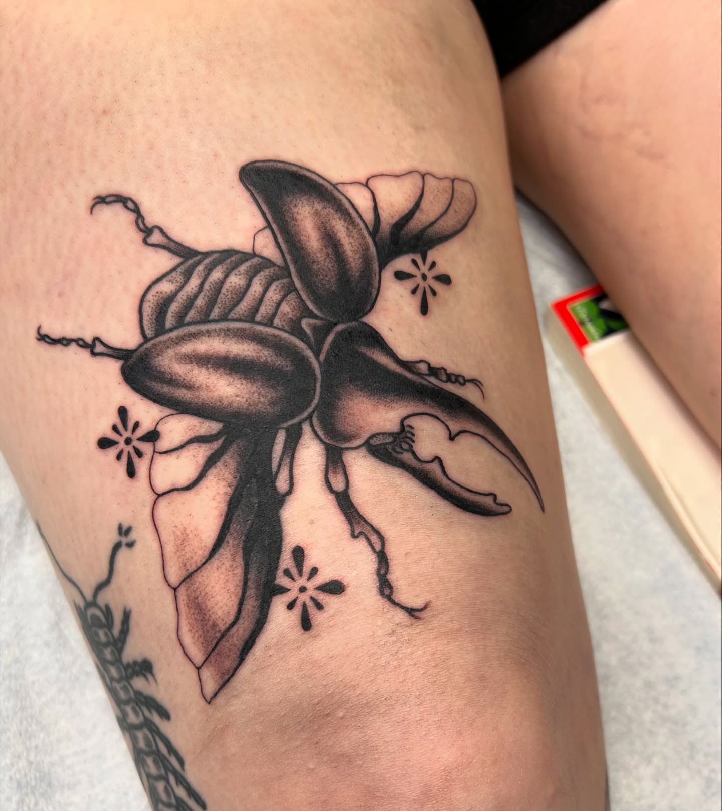 Beetle black and grey tattoo on the thigh by ☻ darby robertson ☻