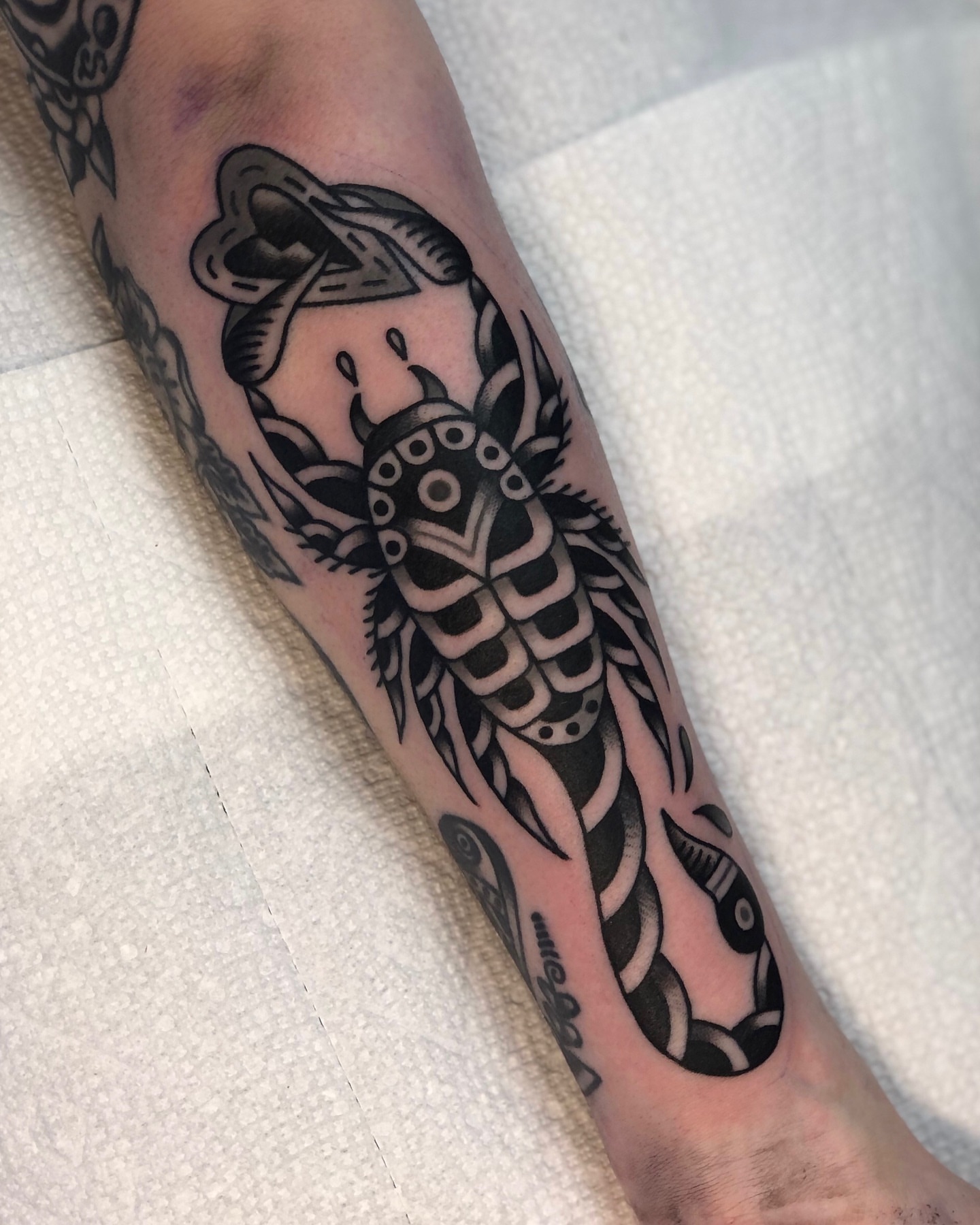 Scorpion black and grey tattoo on the forearm by EVA Traditional Tattoos