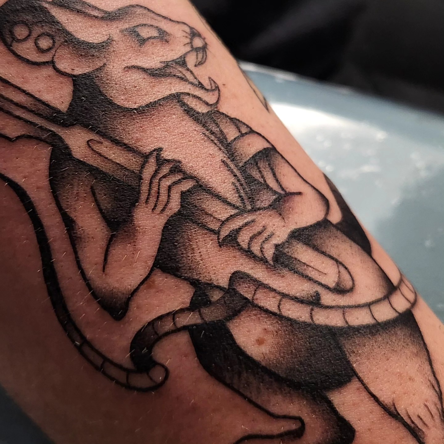 Tattoo by @art_gavvo — american_traditional