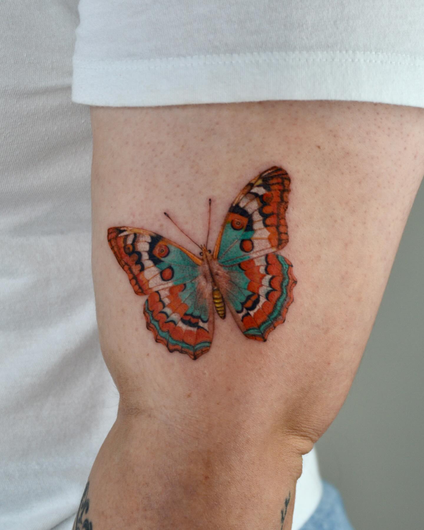 Butterfly realism tattoo on the forearm by β±βΏβ° π π π° π πΎ β±βΏβ°