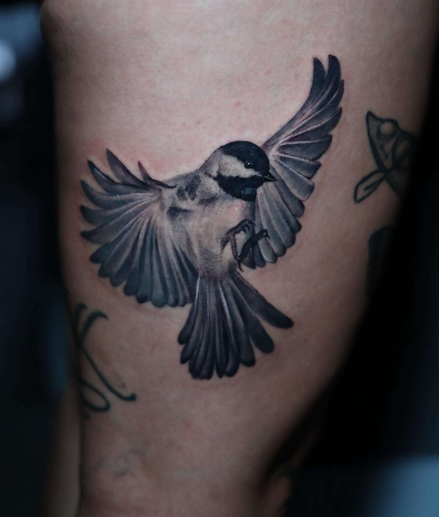 Bird realism tattoo on the forearm by Naomi Burke, New Westminster, British Columbia