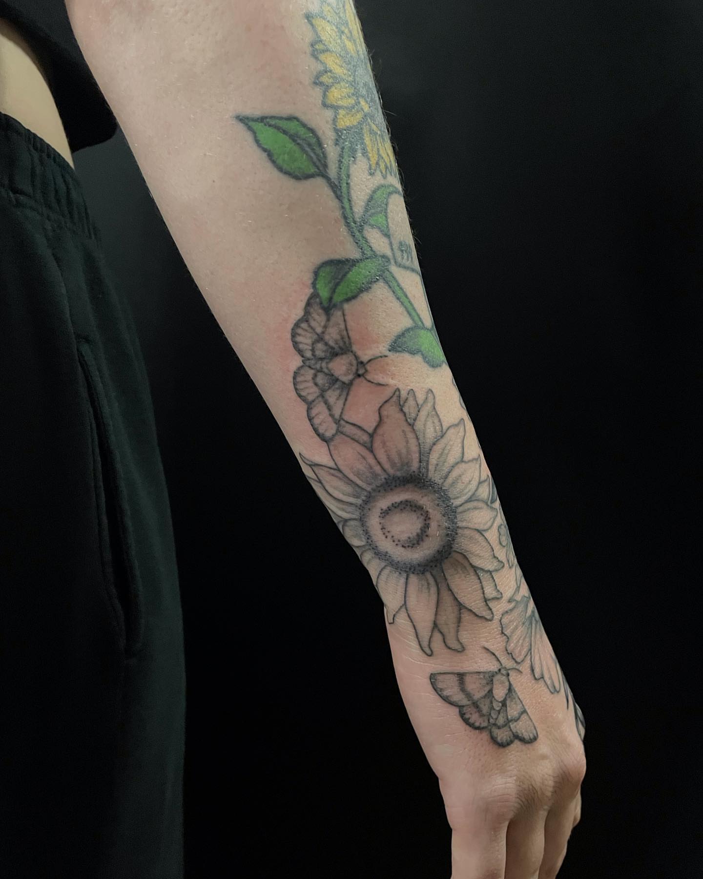 Sunflower and moth black and grey tattoo on the forearm by Hildur Blom, Seattle, Washington