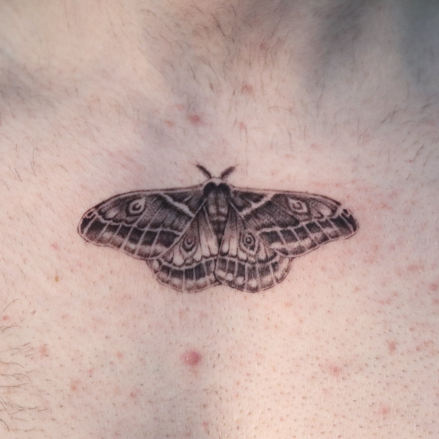 Tattoo by @kallo_tt — black_and_grey