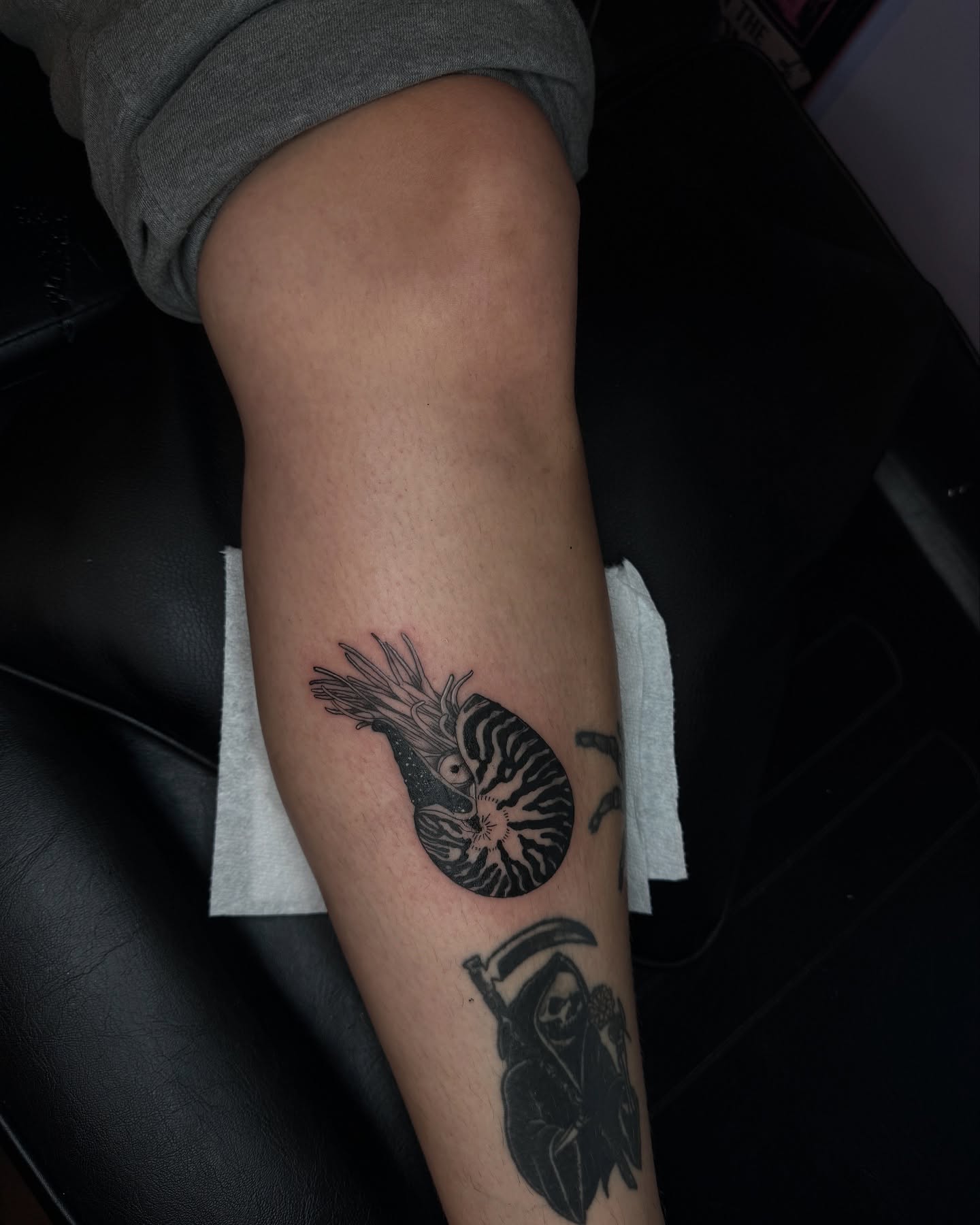 Nautilus shell black and grey tattoo on the forearm by Honey