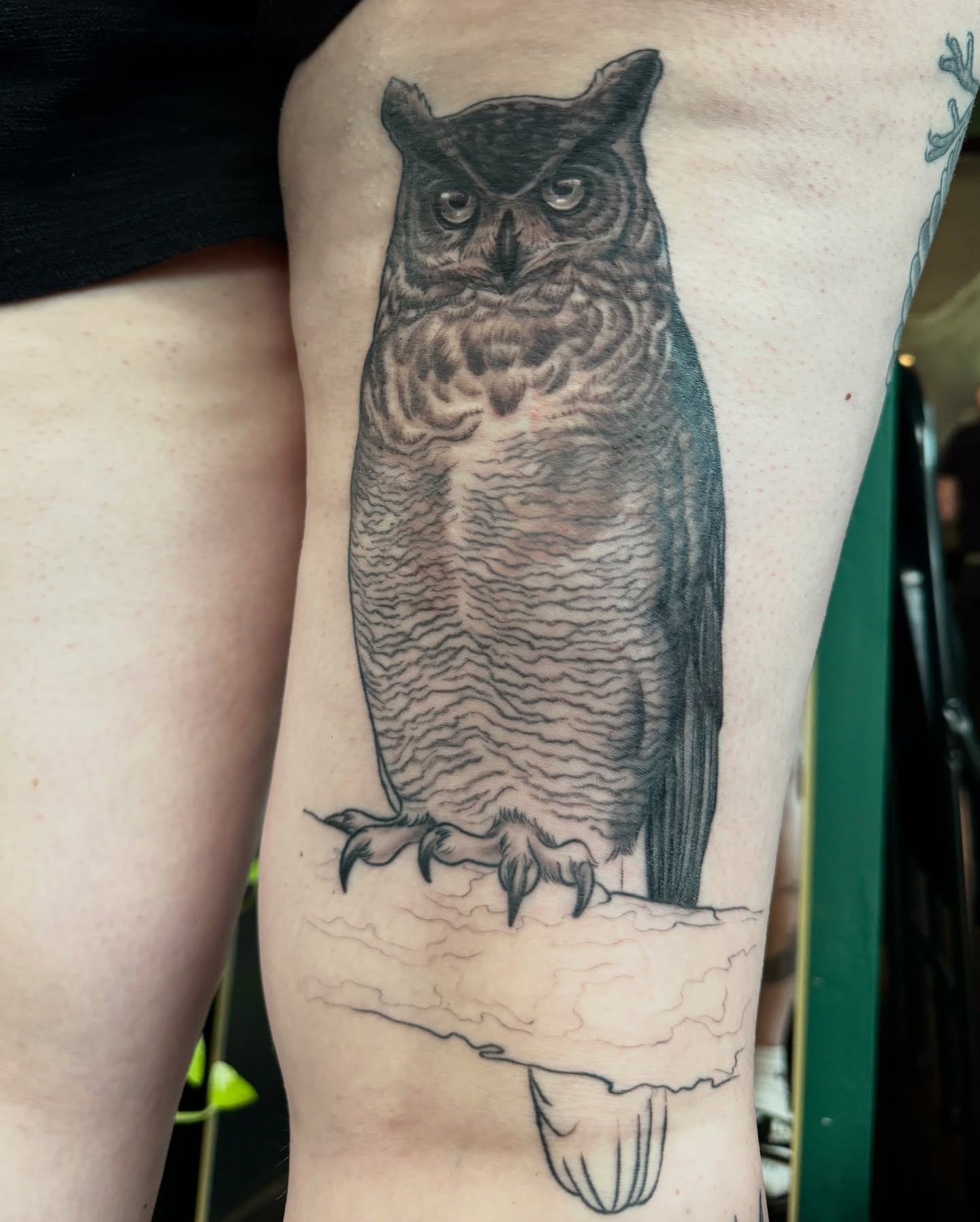 Owl realism tattoo on the forearm by Chelsea Youngblood, Seattle, Washington