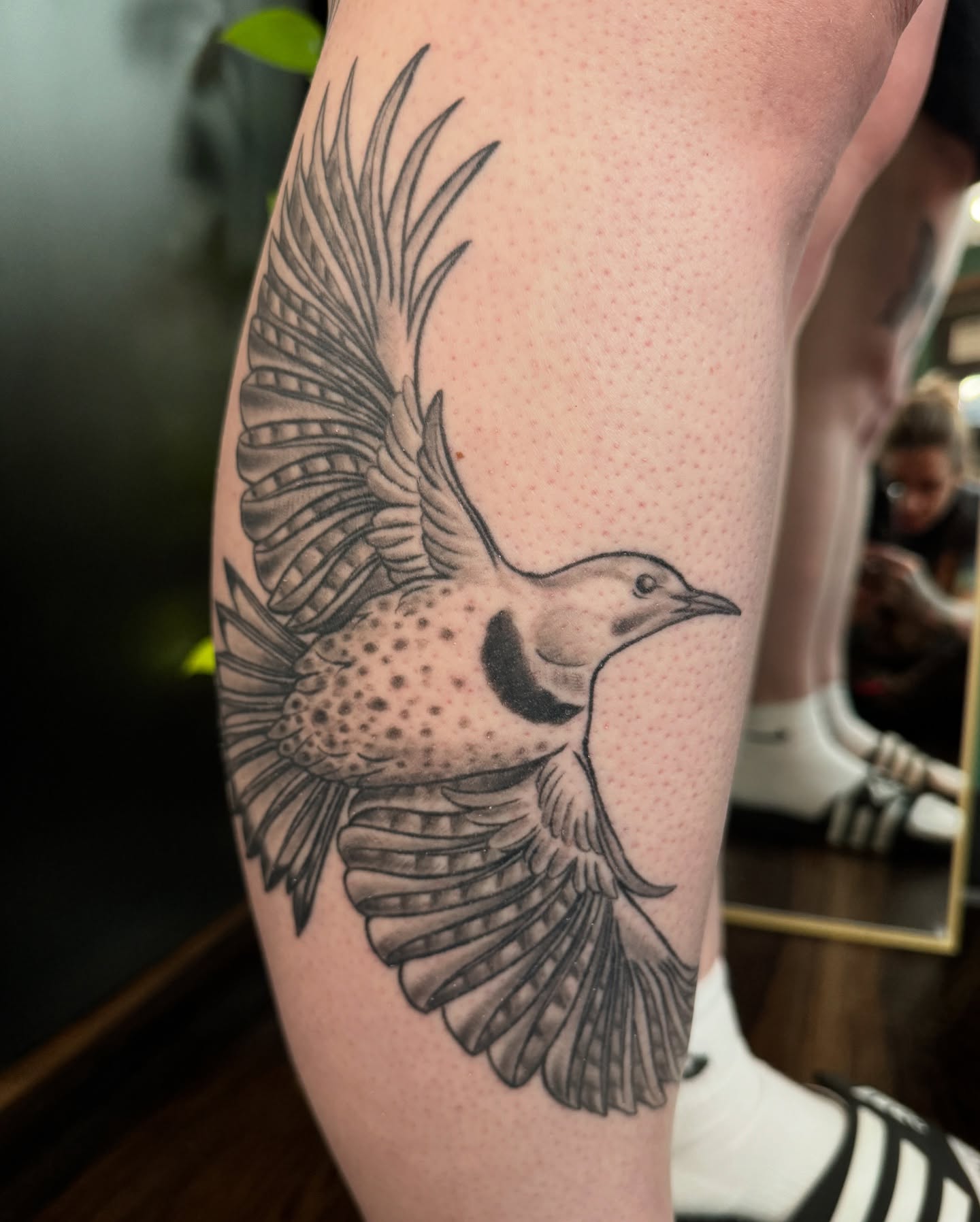 Bird dotwork tattoo on the forearm by Chelsea Youngblood, Seattle, Washington