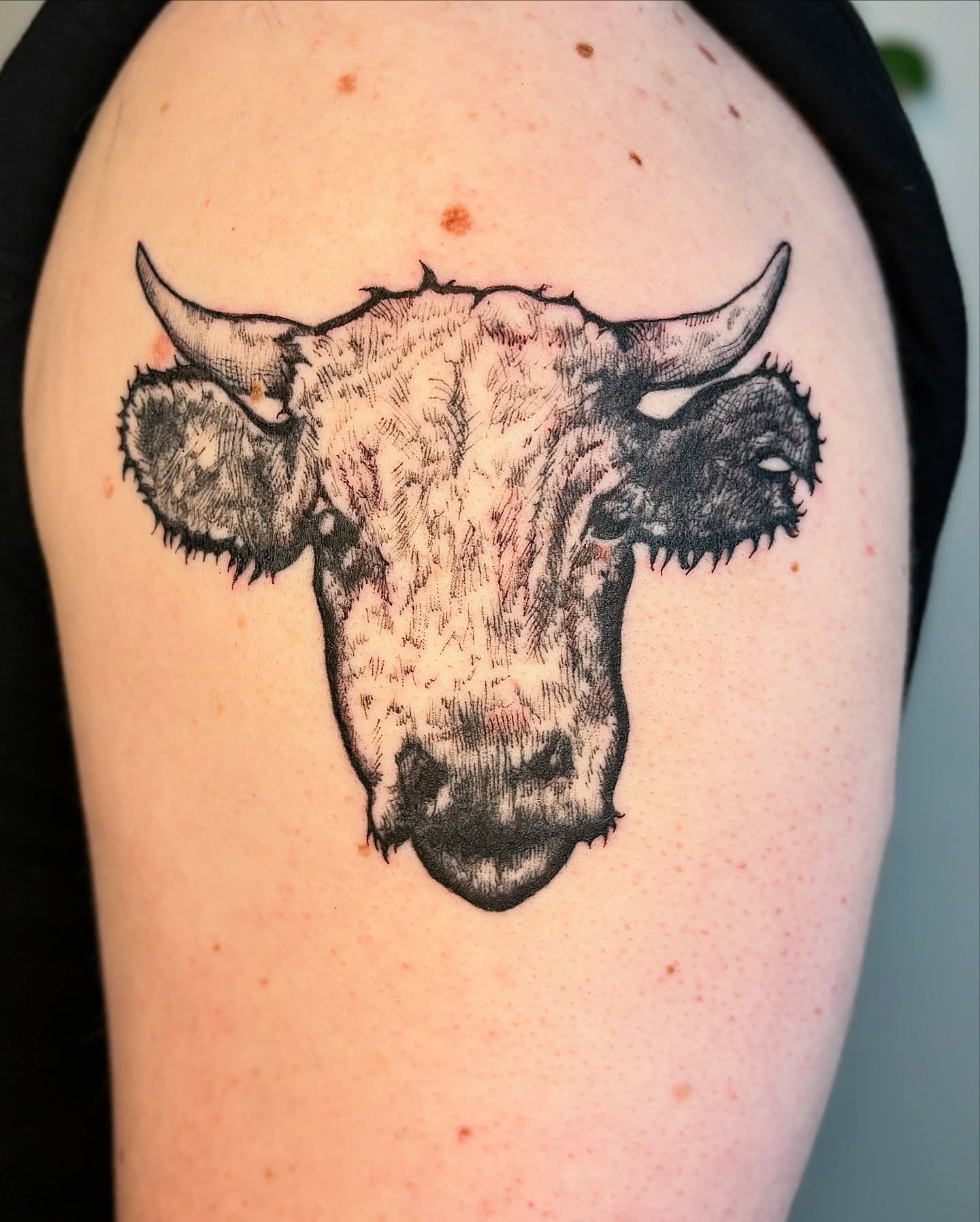 Bull head black and grey tattoo on the shoulder by Wren Cavanaugh Tattoos, Seattle, Washington
