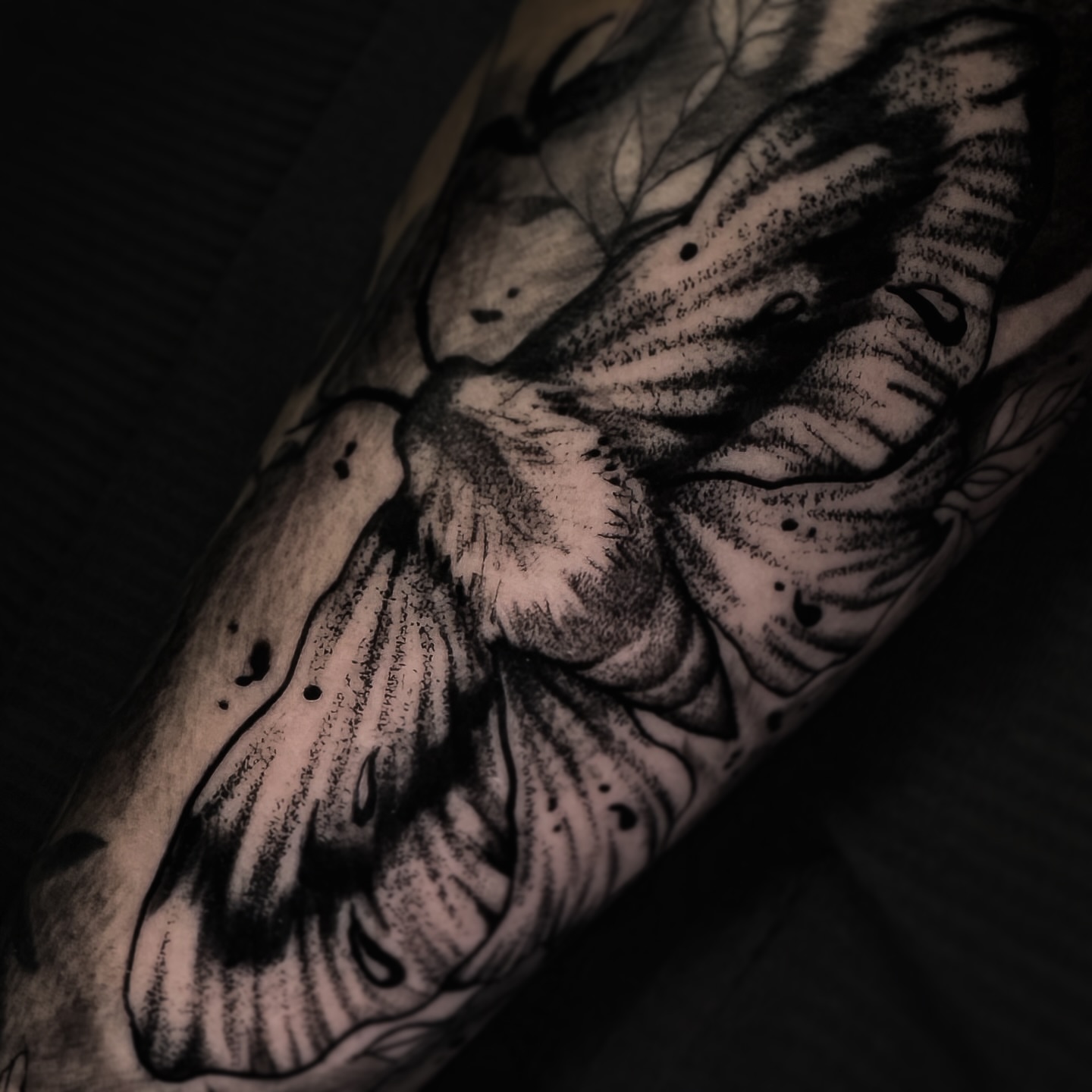 Tattoo by @mannyramirezart — dotwork