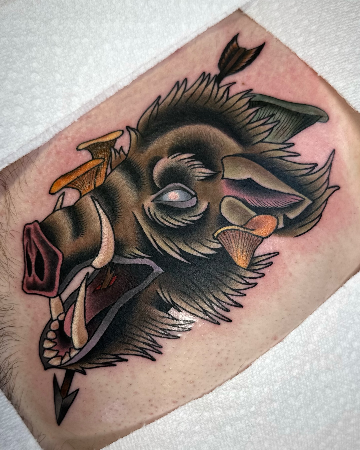 Boar head American traditional tattoo on the forearm by Savannah Compton