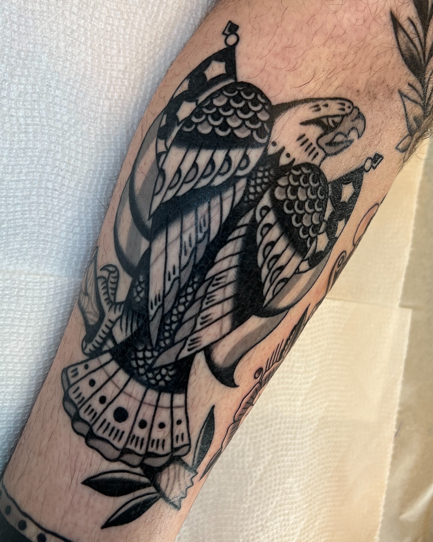 Eagle American traditional tattoo on the forearm by Syd Sayyah