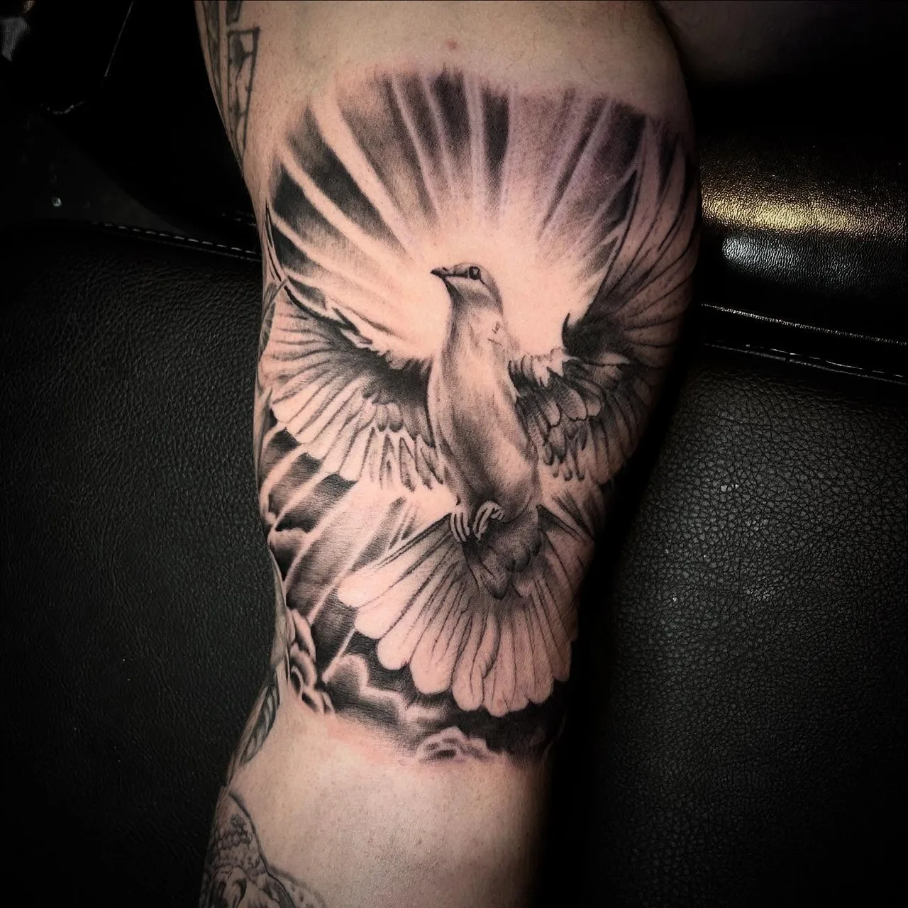 Bird realism tattoo on the forearm by Dylan Stevens