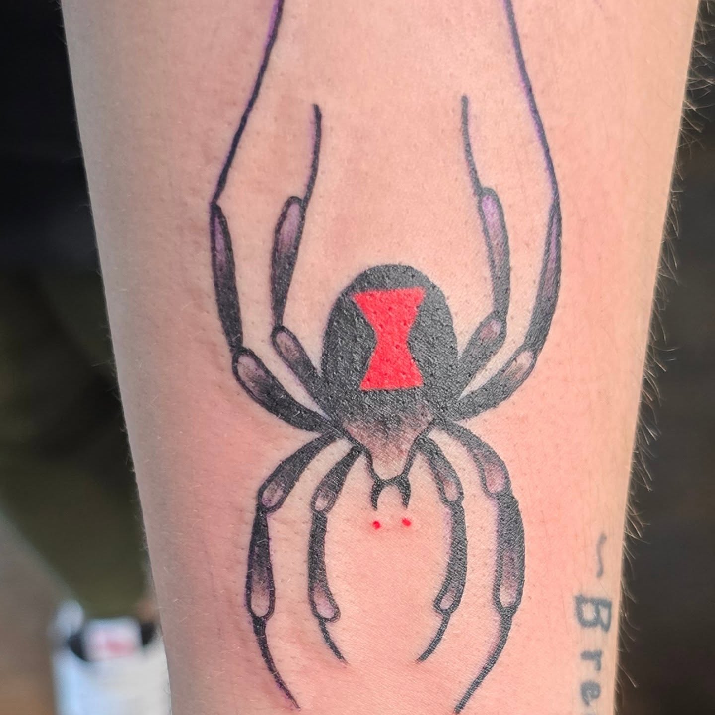Spider American traditional tattoo on the forearm by Columbus tattoo artist