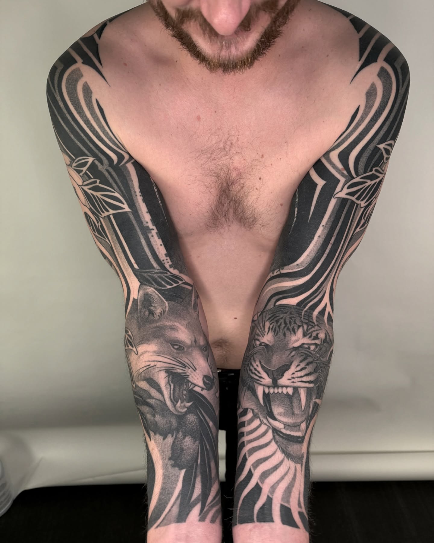 Wolf and tiger realism tattoo on the chest by Zach Donn, Wheat Ridge, Colorado
