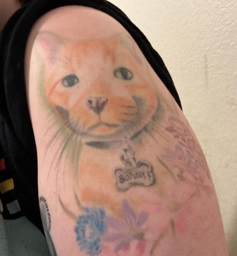 Cat realism tattoo on the upper arm by ๐ ๐ต๐๐๐๐๐ ๐ฎ๐๐๐๐๐๐๐๐๐
