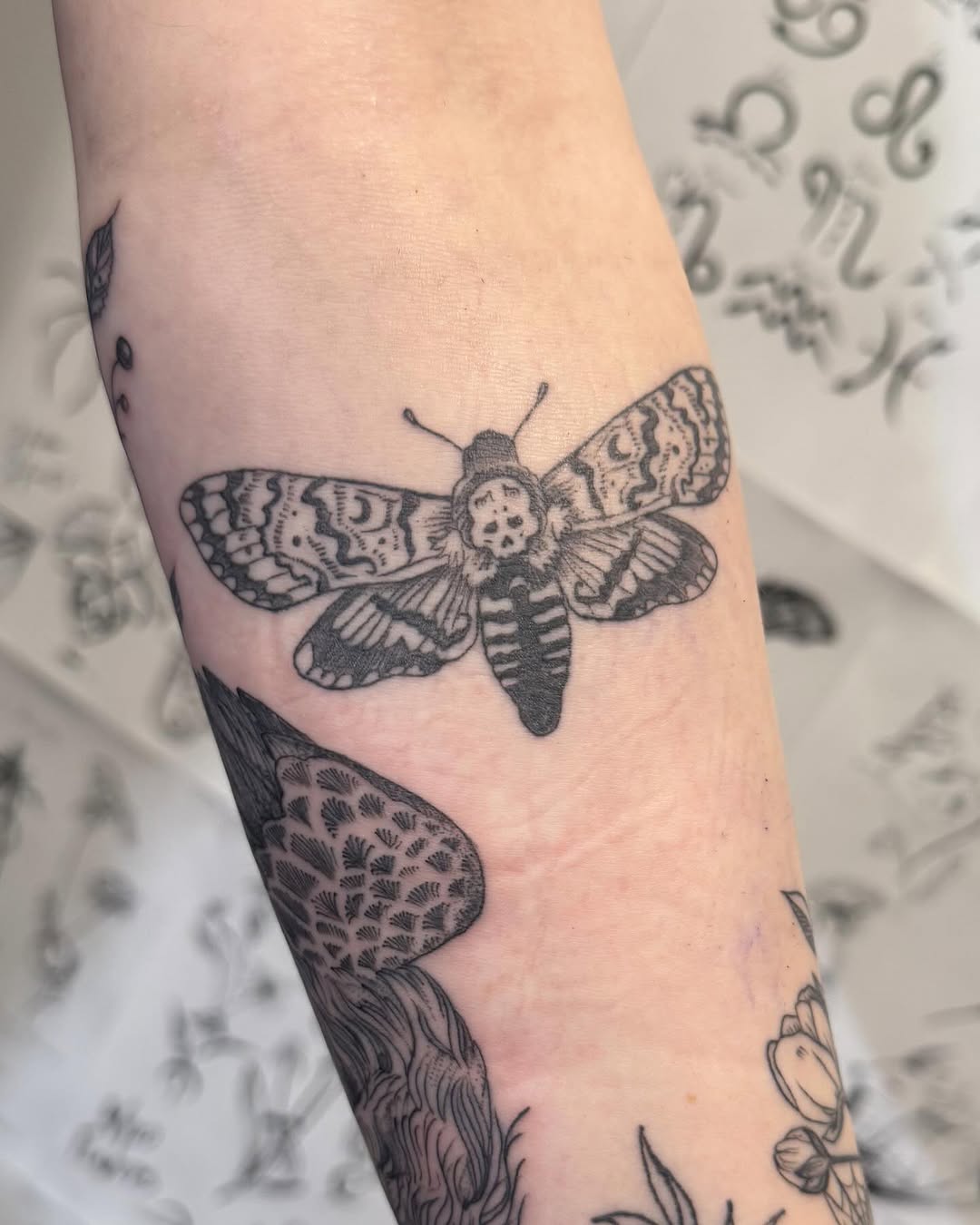 Deaths-head hawkmoth fine line tattoo on the forearm by Thylacine Tattoo & Art, Los Angeles, California
