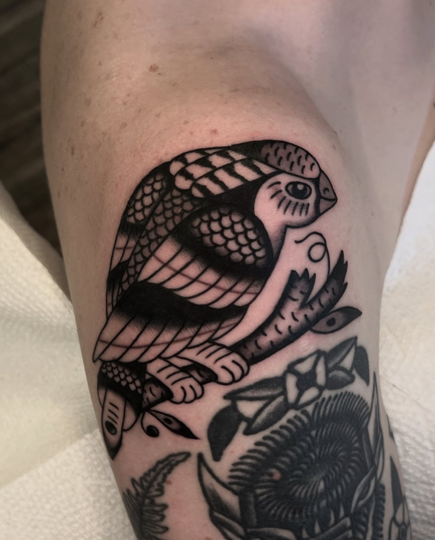 Owl American traditional tattoo on the forearm by Syd Sayyah