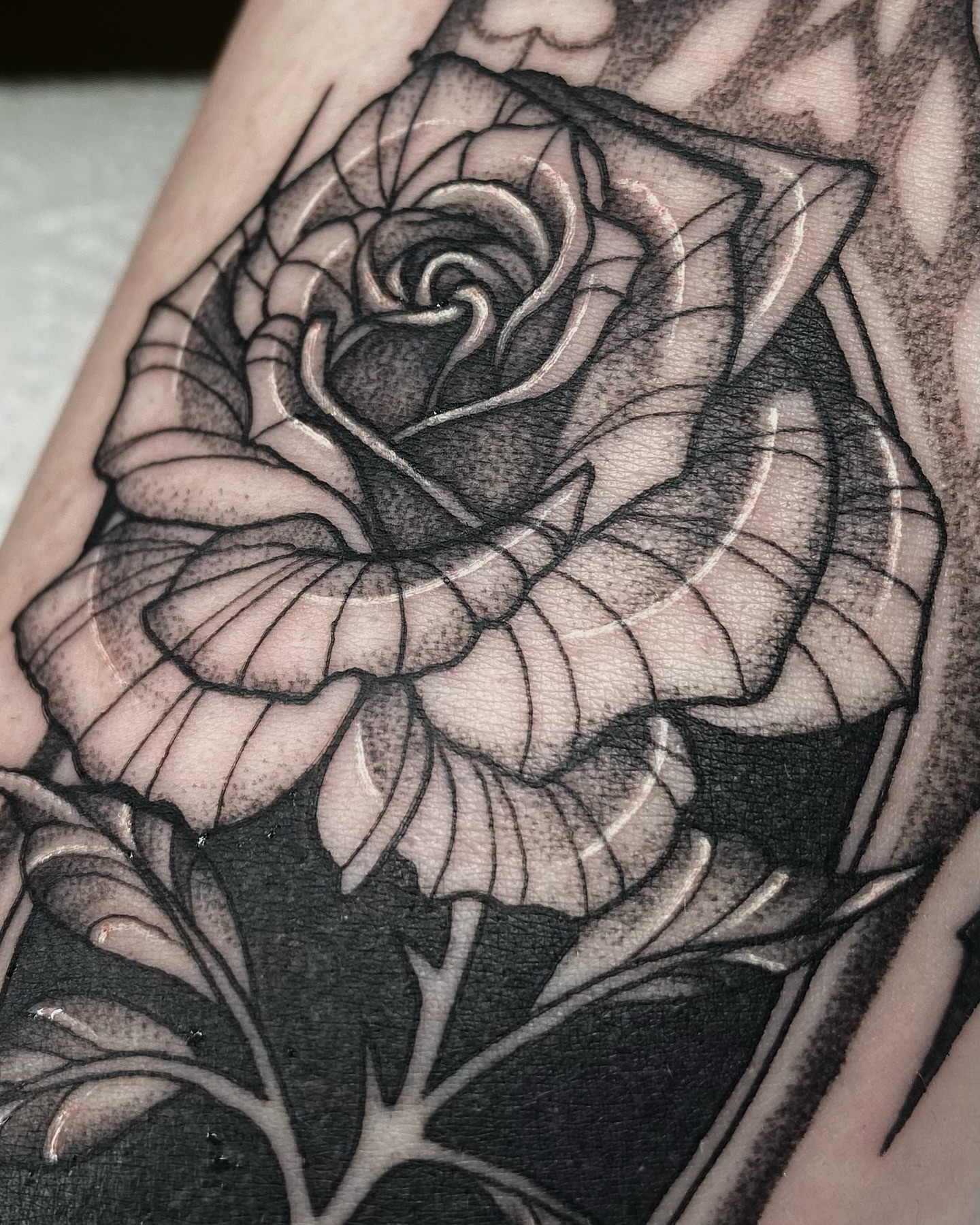 Rose black and grey tattoo on the forearm by IVY