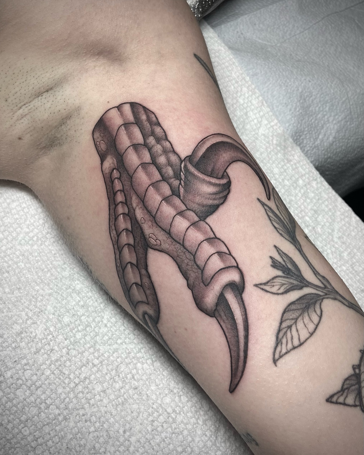 Tattoo by @byrd_tattoos — black_and_grey, realism