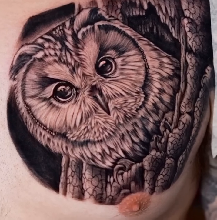Owl in a tree realism tattoo by Dharma.tattoo